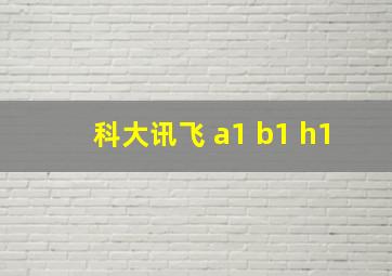 科大讯飞 a1 b1 h1